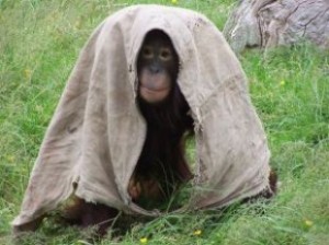 Resume errors can make you look like a chimp