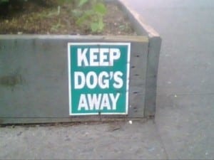 Reads: Keep dog's away