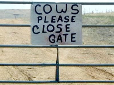 Reads: cows please close gate