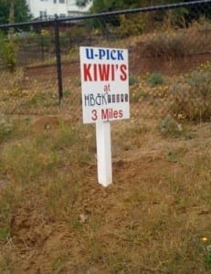 Please pick kiwi's