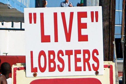 Scare quotes read "live" lobsters