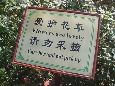 Sign reads: "flowers are lovely care her and not pick up"