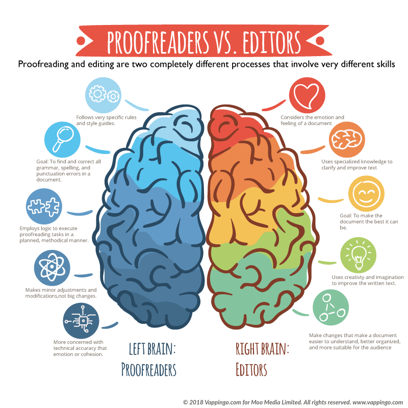 Image of the brain showing the differences between editors and proofreaders