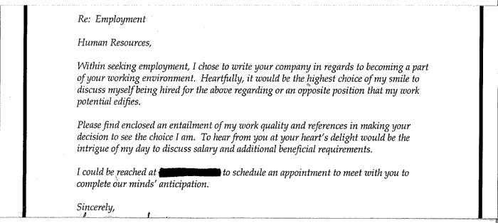 Funny cover letter example three Funny Cover Letters Examples Funny Cover Letters Examples Funny cover letter example three