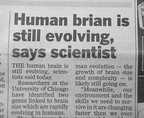 Brian is evolving